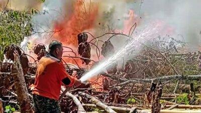 Sanggau Bentuk Tim Satgas Penanggulangan Bencana Karhutla