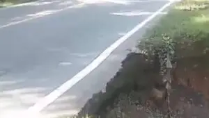 Beredar Video Retaknya Aspal Di Jalan Simpang Tanjung-Entikong Akibat Longsor