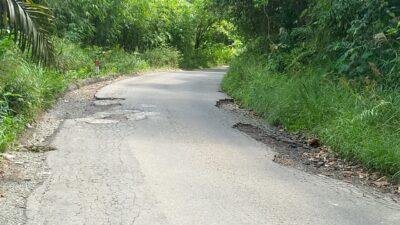 Jalan Bengkayang-Singkawang Perlu Perbaikan Beberapa Titik Mengalami Kerusakan