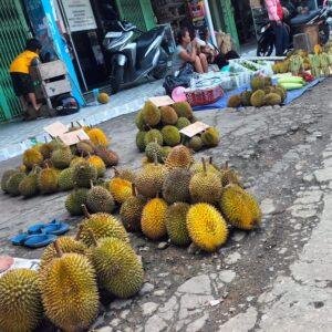 Musim Buah Melimpah di Sanggau: Durian, Rambutan, dan Langsat Jadi Primadona