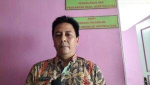 Strategi Hortikultura Sanggau 2025: Dari Cabai hingga Ekspor Pasta Durian