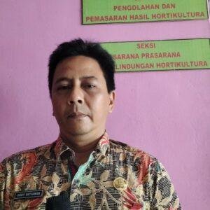 Strategi Hortikultura Sanggau 2025: Dari Cabai hingga Ekspor Pasta Durian