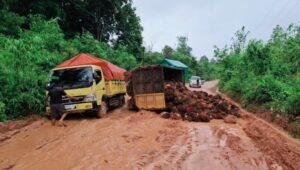 Truk Bermuatan Sawit Terguling di Jalan Rusak, Lalu Lintas Lumpuh