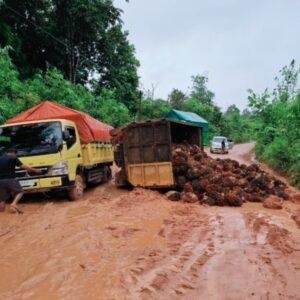Truk Bermuatan Sawit Terguling di Jalan Rusak, Lalu Lintas Lumpuh