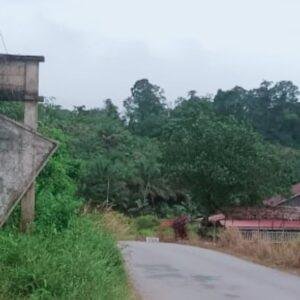 Proyek Gapura di Desa Babane Diduga Mangkrak, Warga Pertanyakan Kejelasan
