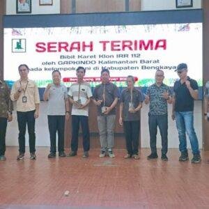 Gapkindo Kalbar Salurkan Bibit Karet Unggul ke Petani Bengkayang