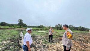Kapolres Sanggau Tanam Jagung Monokultur untuk Dukung Ketahanan Pangan