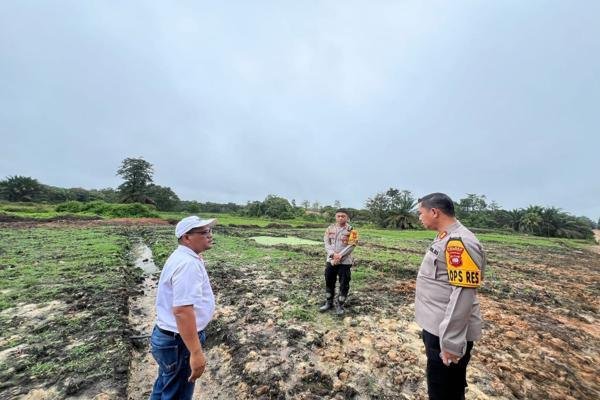 Kapolres Sanggau Tanam Jagung Monokultur untuk Dukung Ketahanan Pangan 1 Kapolres Sanggau Tanam Jagung Monokultur untuk Dukung Ketahanan Pangan
