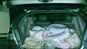 Polisi Tangkap Penambang Emas Ilegal di PT WHS 2 Sambas