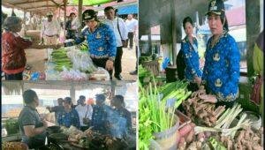 Wakil Bupati Sanggau Inspeksi Puskesmas dan Pasar di Meliau, Temukan Kendala Obat dan Stabilitas Harga Bahan Pokok