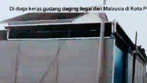 Peredaran Daging Ilegal Malaysia di Pontianak: Bisnis Gelap Tanpa Pengawasan