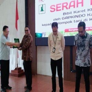 Gapkindo Kalbar Serahkan 6.000 Bibit Karet, Dorong Kebangkitan Perkebunan Bengkayan