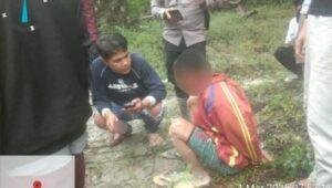 Polisi Tangkap Pencuri Sawit di PT WHS 2 Sambas