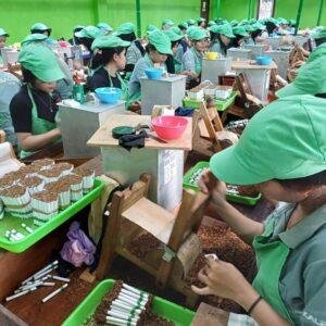 Pemuda Pancasila Desak Aparat Berantas Rokok Ilegal di Perbatasan Kalbar