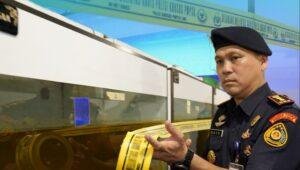 Arwana Super Red Ilegal Disita di Pontianak, 551 Ekor Diamankan