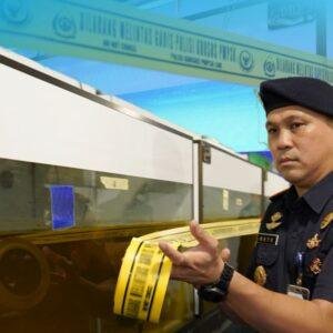 Arwana Super Red Ilegal Disita di Pontianak, 551 Ekor Diamankan