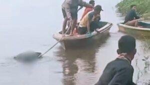 Tiga Hari Hilang, Warga Meliau Ditemukan Tewas Tenggelam di Sungai Kapuas