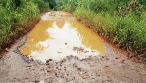 Jalan Rusak Parah di Sanggau Ledo, Warga Tagih Tanggung Jawab Pemerintah dan Perusahaan Sawit