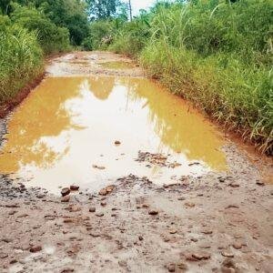 Jalan Rusak Parah di Sanggau Ledo, Warga Tagih Tanggung Jawab Pemerintah dan Perusahaan Sawit