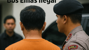 Operasi Senyap, Polda Kalbar Bekuk Orang Kepercayaan Bos Emas Ilegal