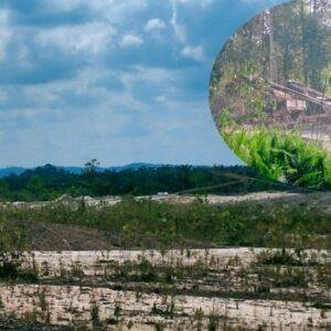 PETI di Peniti Kian Marak, Penggunaan Solar Subsidi dan Dugaan Pembiaran Tuai Sorotan