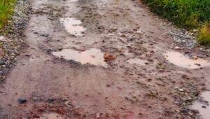 Warga Keluhkan Jalan Rusak di Parit Pangeran III Pontianak