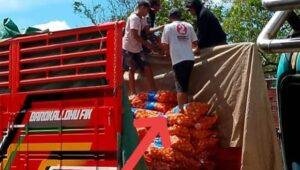 Diduga Ilegal, Puluhan Karung Bawang Bombay Dibongkar di Jalan Trans Kalimantan Kubu Raya