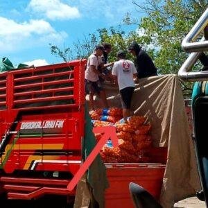 Diduga Ilegal, Puluhan Karung Bawang Bombay Dibongkar di Jalan Trans Kalimantan Kubu Raya