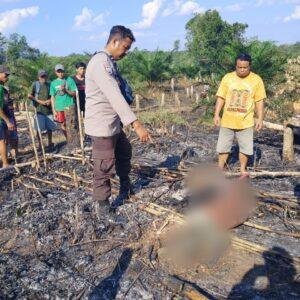 Terjebak Kobaran Api Saat Bakar Lahan, Lansia di Sanggau Tewas Terpanggang