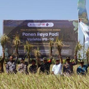 IPB dan Astra Panen Perdana Padi IPB 9G di Sambas, Dorong Ketahanan Pangan Nasional 4 IPB dan Astra Panen Perdana Padi IPB 9G di Sambas, Dorong Ketahanan Pangan Nasional
