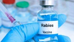 Dinkes Sanggau Pastikan Stok Vaksin Rabies Aman, 1.055 Vial Segera Tiba