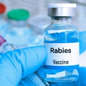 Dinkes Sanggau Pastikan Stok Vaksin Rabies Aman, 1.055 Vial Segera Tiba