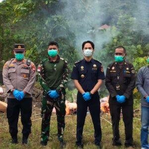 Bibit Tanaman dan Produk Hewan Ilegal Dibakar di Perbatasan Indonesia–Malaysia