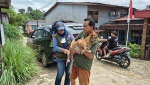 Sanggau Intensifkan Vaksinasi Rabies, 18 Ribu Ampul VAR Disiapkan