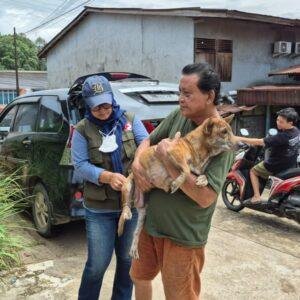 Sanggau Intensifkan Vaksinasi Rabies, 18 Ribu Ampul VAR Disiapkan