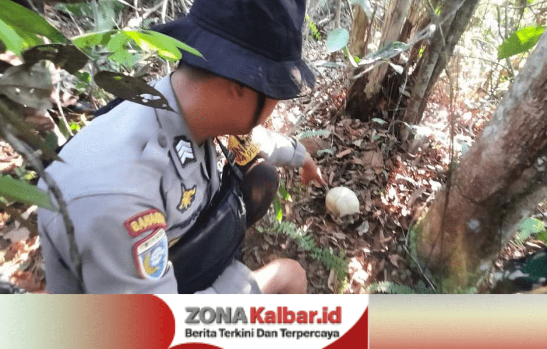 Desain tanpa judul 20250924 172849 0000