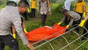 FB IMG 1765581397313