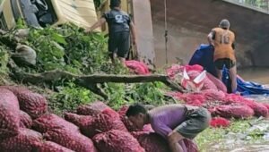 Kronologi Dump Truck Masuk Jurang di Penyaladi Sanggau