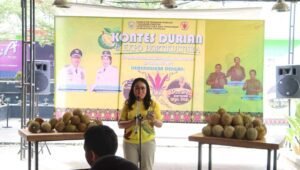 Wakil Bupati Sanggau Buka Kontes Durian
