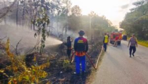 Kebakaran Lahan Terjadi di Desa Subah, Jalur Trans Kalimantan