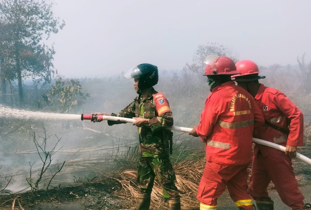 Lahan Terbakar di Mempawah, Petugas Berjibaku Cegah Api Meluas 1 Lahan Terbakar di Mempawah, Petugas Berjibaku Cegah Api Meluas
