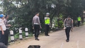 Update Terkini! Polisi Analisa Penyebab Bus DAMRI Kecelakaan