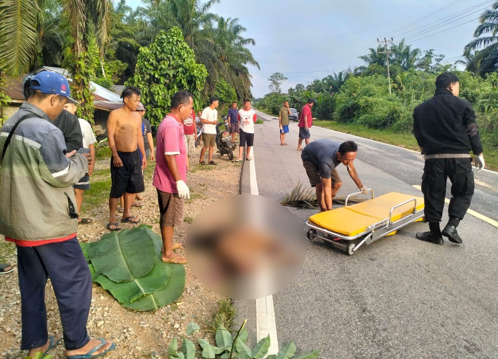 Subuh Mencekam di Parindu, Warga Temukan Korban Tewas di Jalan Raya