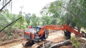 TMMD Sanggau Buka Jalan 13 KM, Semayang-Tanak