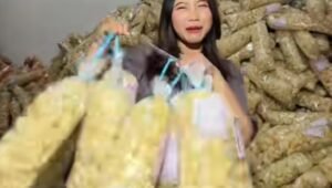 Pajak Pedagang Online, Bikin Adil atau Justru Memberatkan