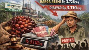 Harga Resmi Rp3.726, PTPN IV Diduga Bayar Rp3.110