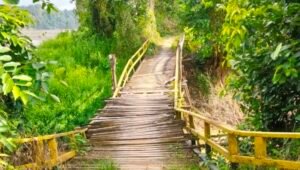 Jembatan Desa Inggis Sanggau Kritis, Warga Minta Segera Diperbaiki