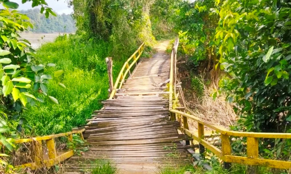 Jembatan Desa Inggis Sanggau Kritis, Warga Minta Segera Diperbaiki