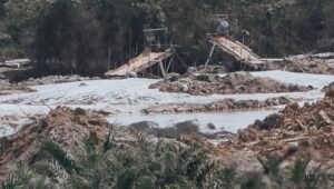 Lahan Transmigrasi di Cempaka Bengkayang Diduga Beralih Jadi Tambang Emas Ilegal
