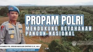 Bidpropam Polda Kalbar Turun ke Kebun, Panen Jagung Bersama Petani